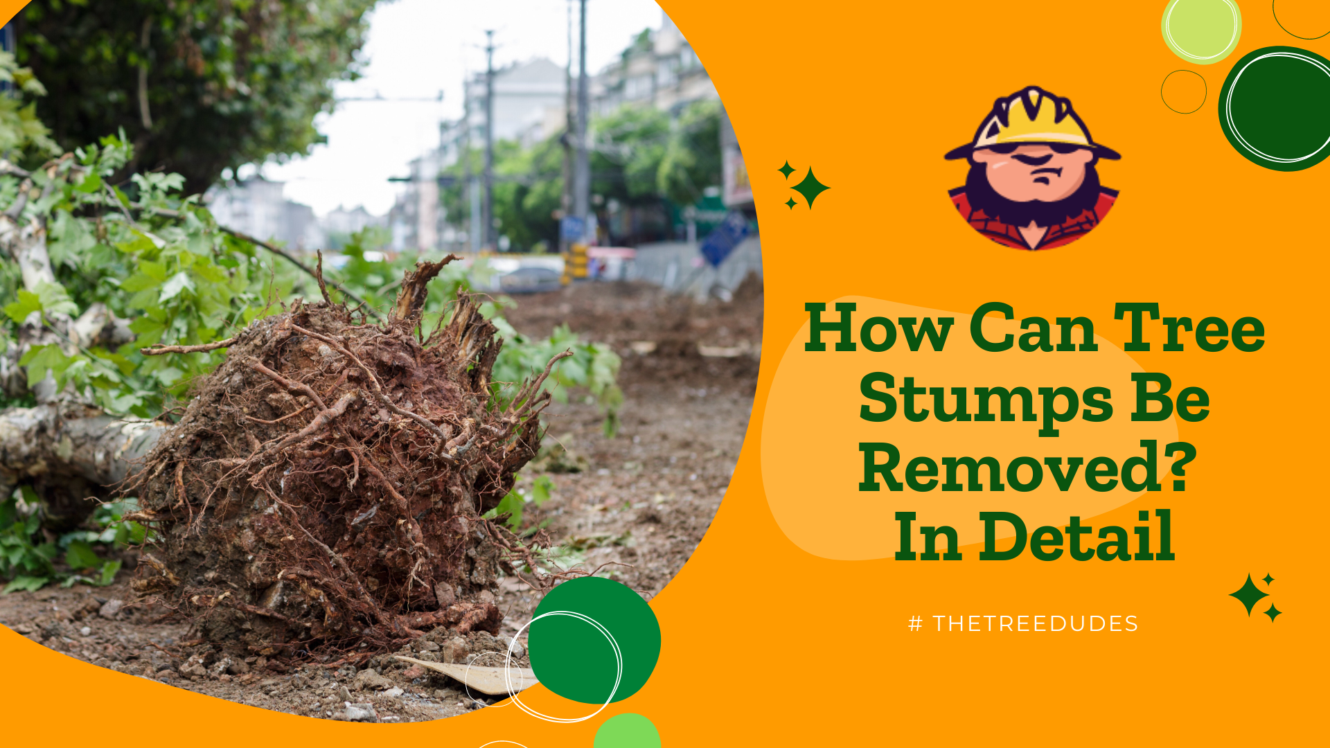 How can Tree Stumps be Removed? In Detail