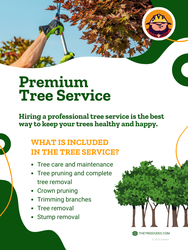 Premium tree service infographic 1/2