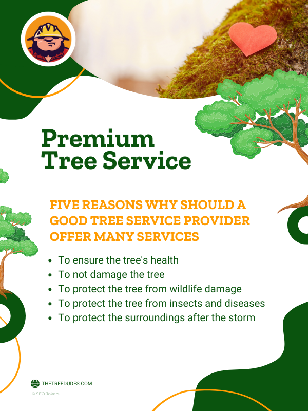 Premium tree service infographic 2/2