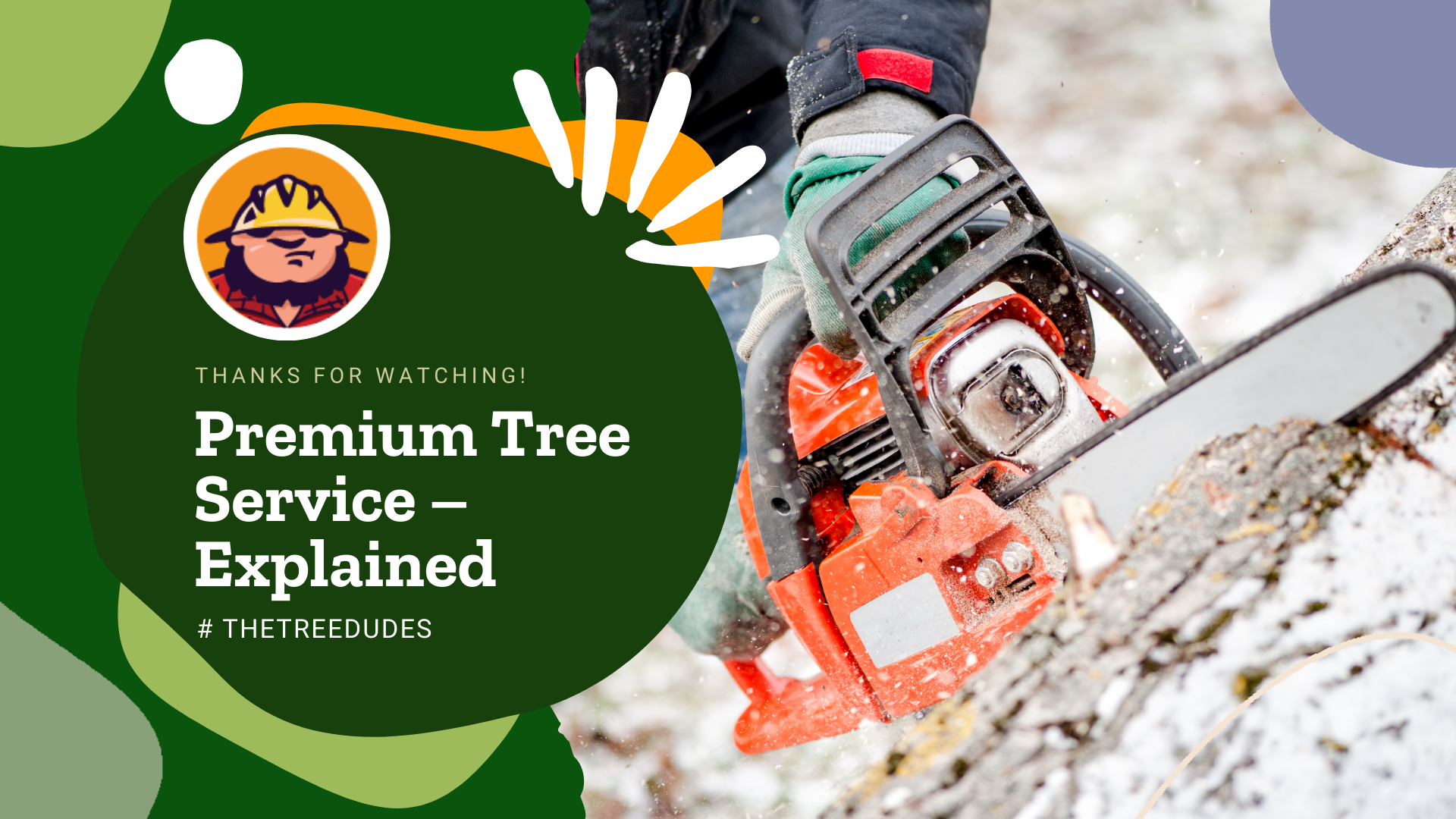 Premium Tree Service - Explained
