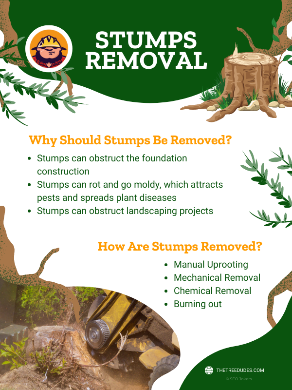 how any why should stumps be removed infographic