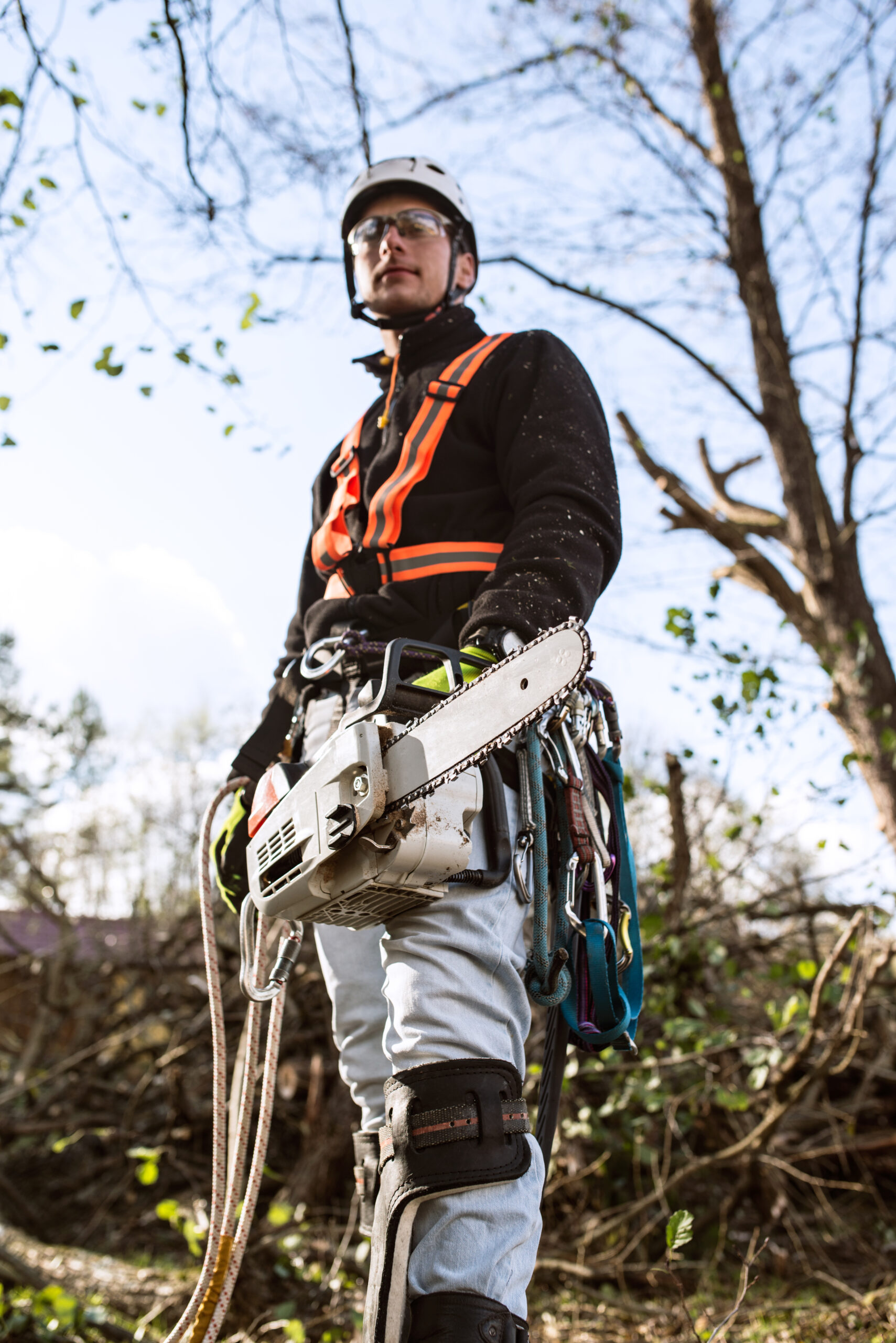 Lumberjack with chainsaw and arborist safety gear preparing to cut down trees and branches as a part of tree service