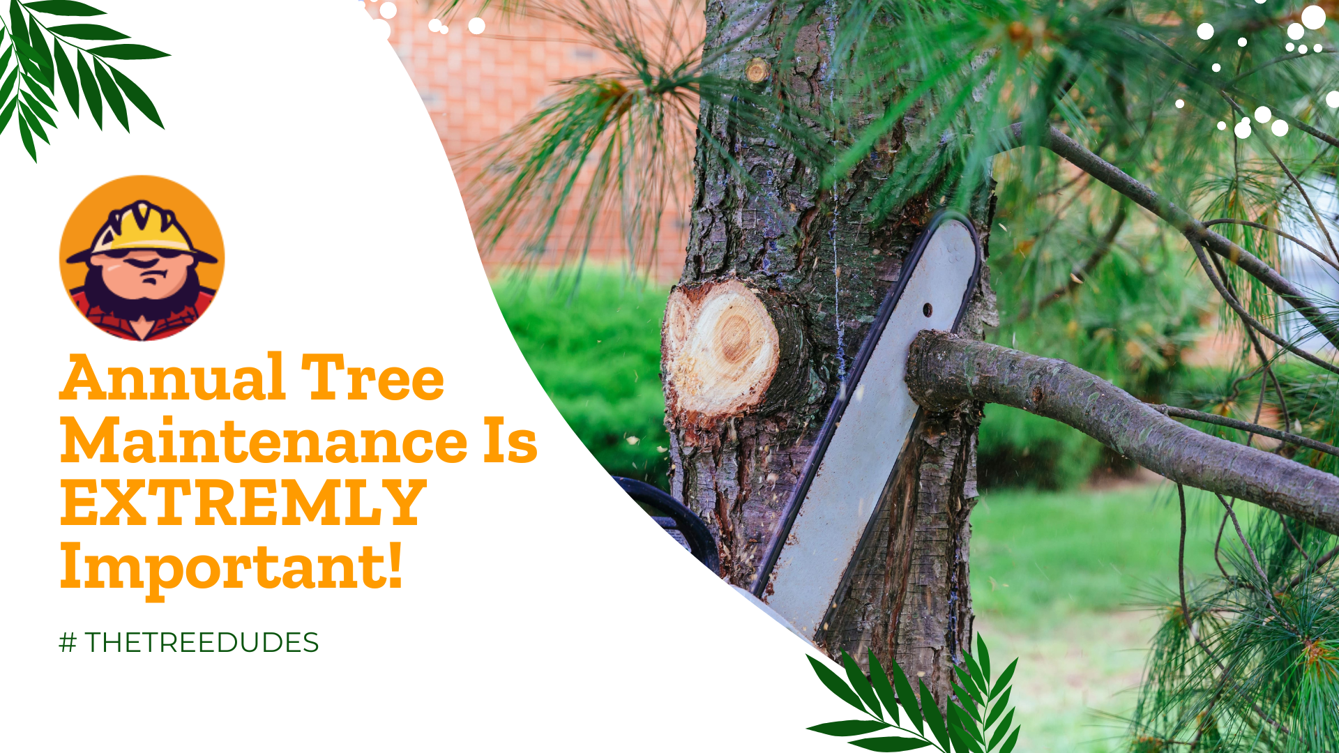 Annual Tree Maintenance is EXTREMLY Important!