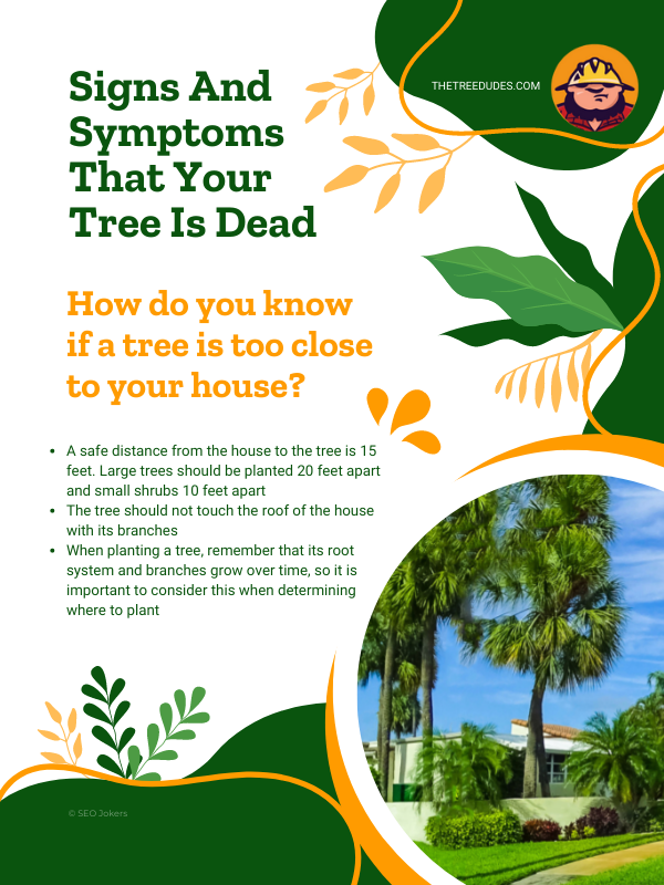 Signs and symptoms that your tree is dead infographic 2 