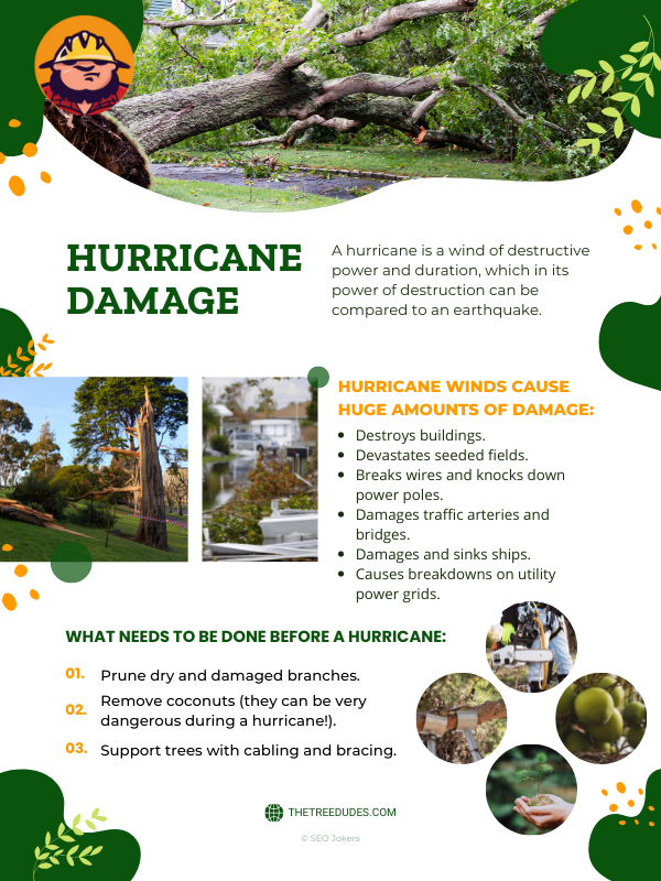 Hurricane damage infographic