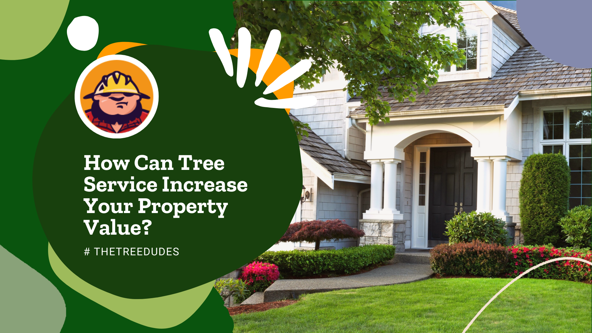 How Can Tree Service Increase Your Property Value?