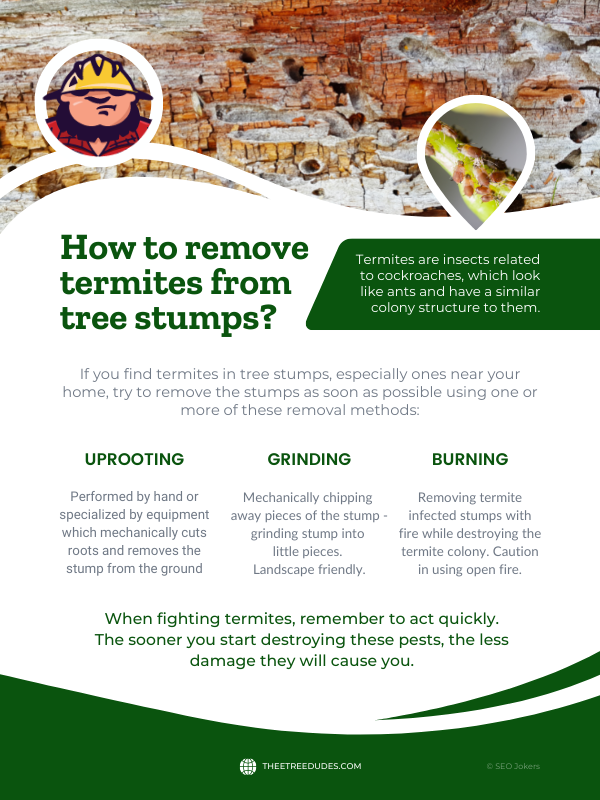 How to remove termites from tree stumps infographic