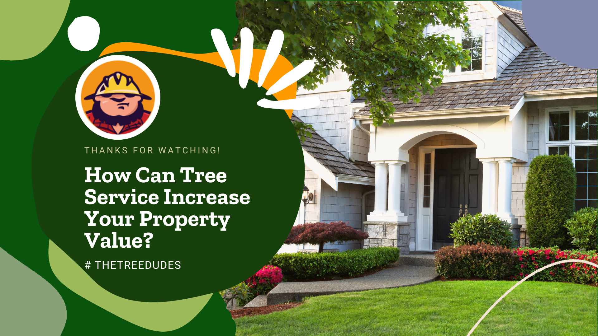 How Can Tree Service Increase Your Property Value