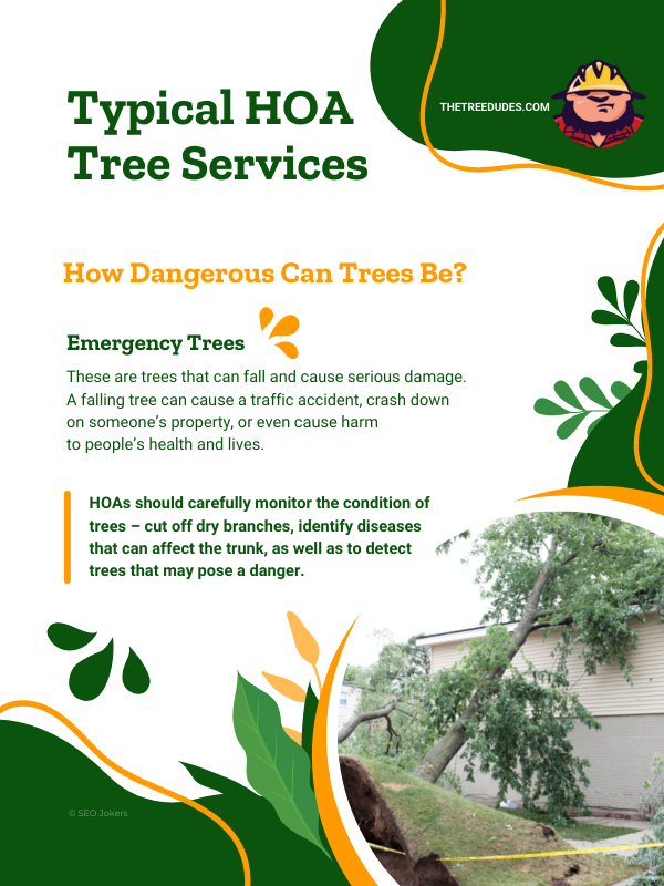 Typical HOA Tree Services infographic 2