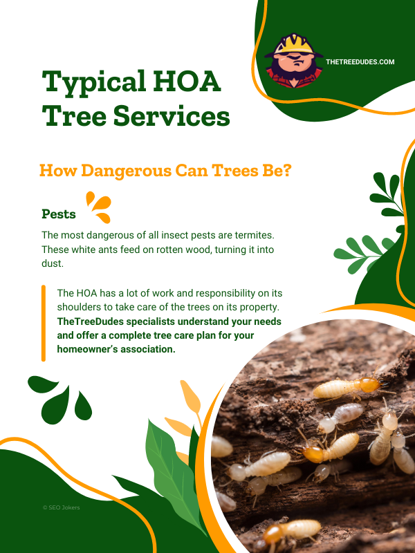 Typical HOA Tree Services infographic 4