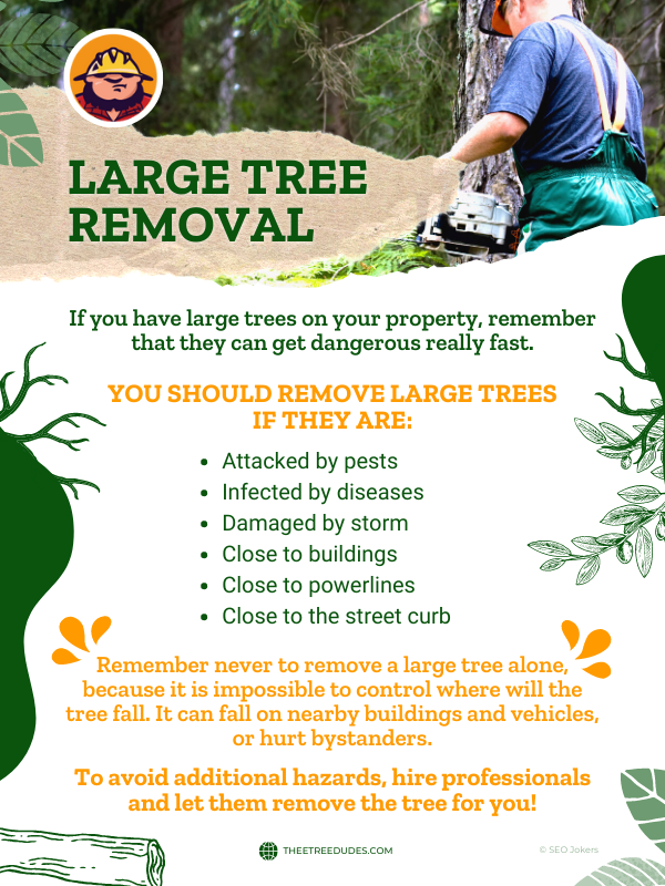 What Happens to a Tree After You Remove It?