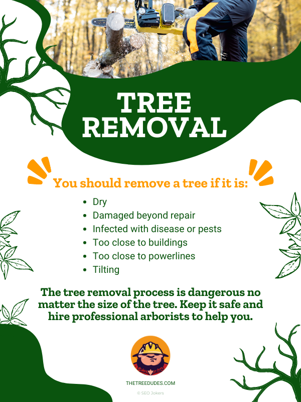 Tree Removal Infographic 1
