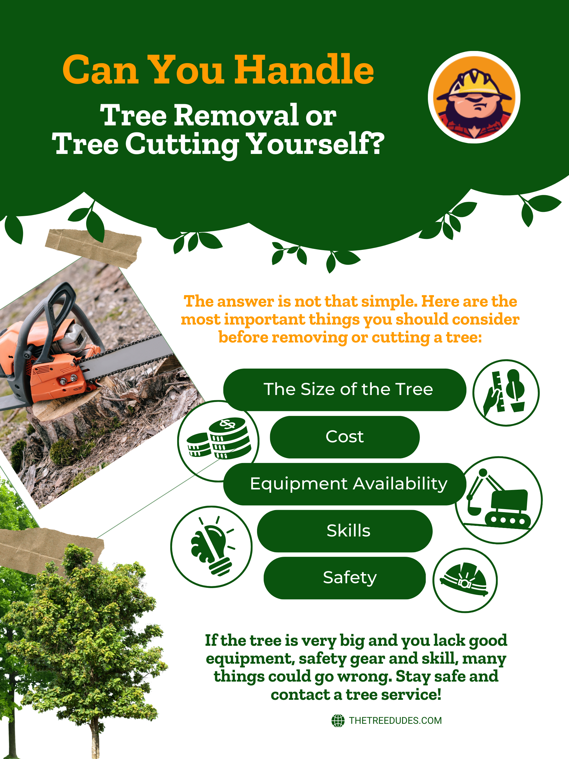 Can You Handle Tree Removal or Tree Cutting Yourself