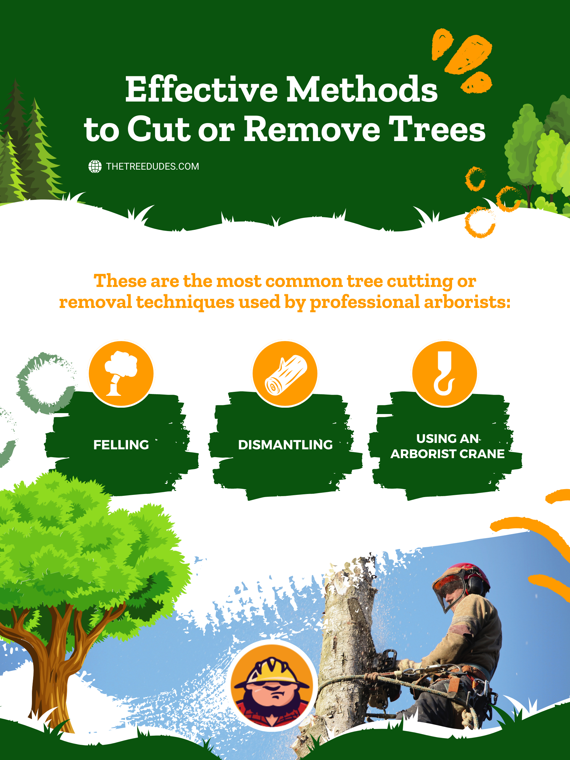 Tree Removal and Tree Cutting: Effective Methods to Cut or Remove Trees