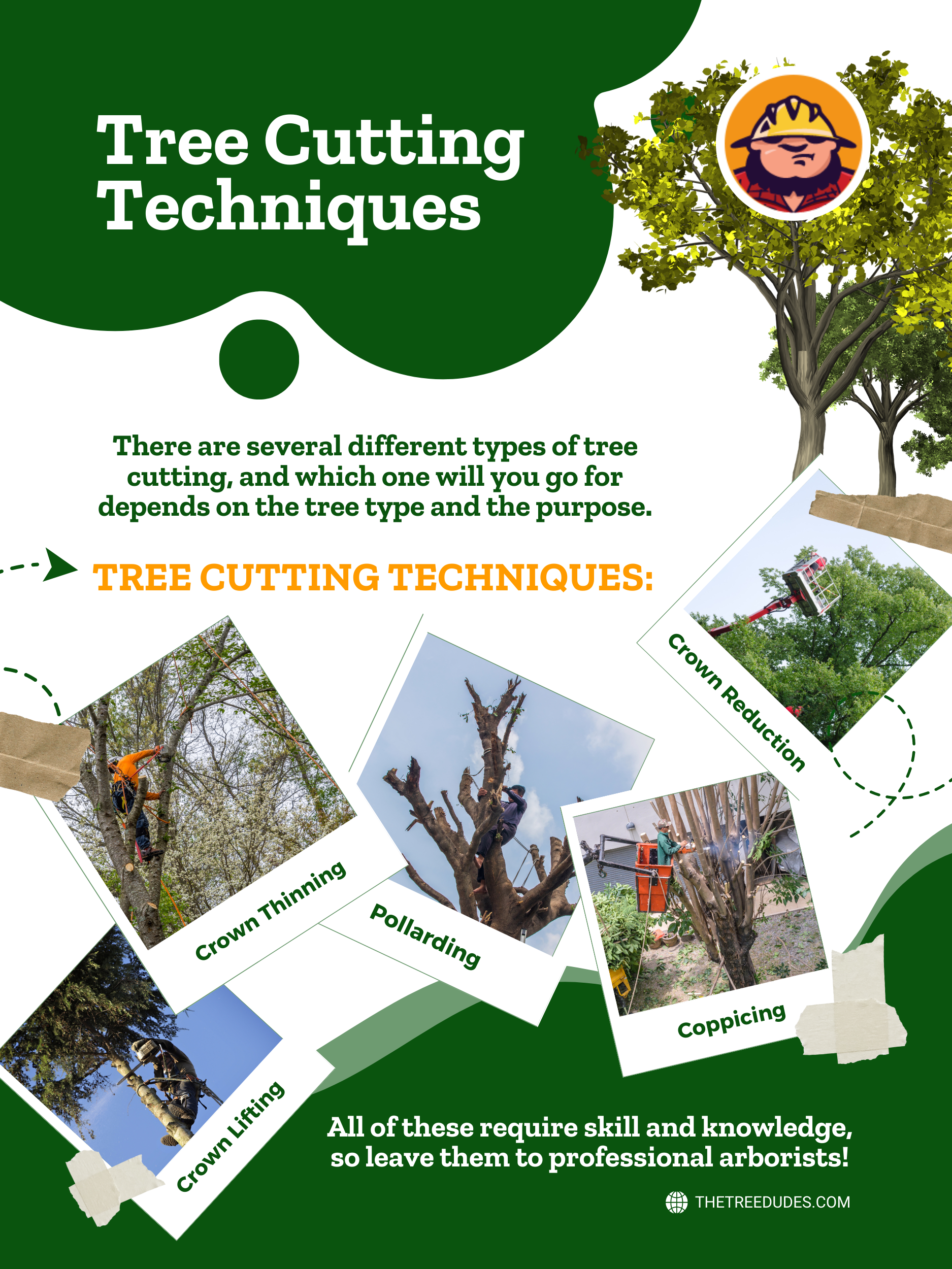 Tree Cutting Techniques