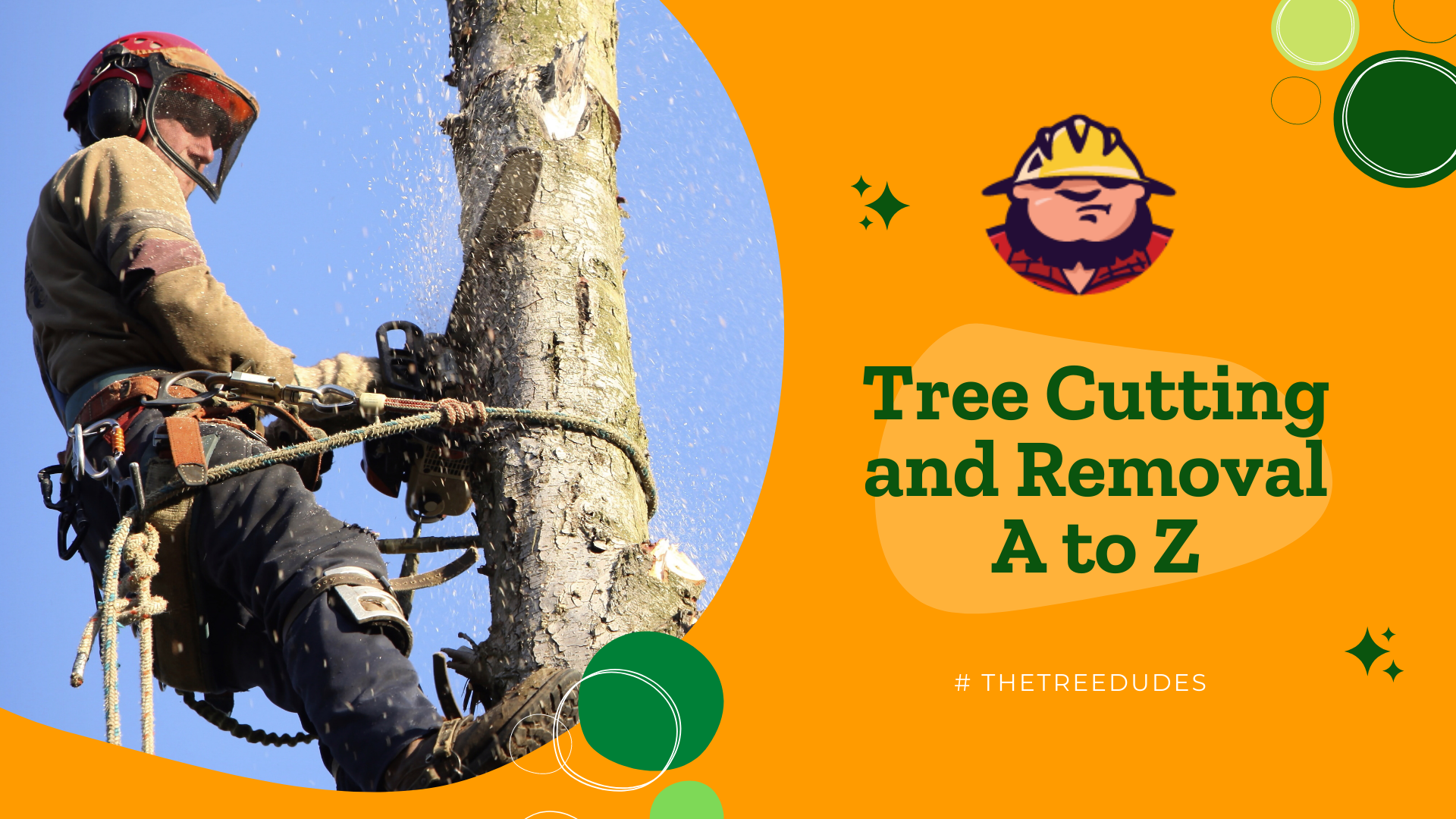 Tree Cutting and Removal A to Z
