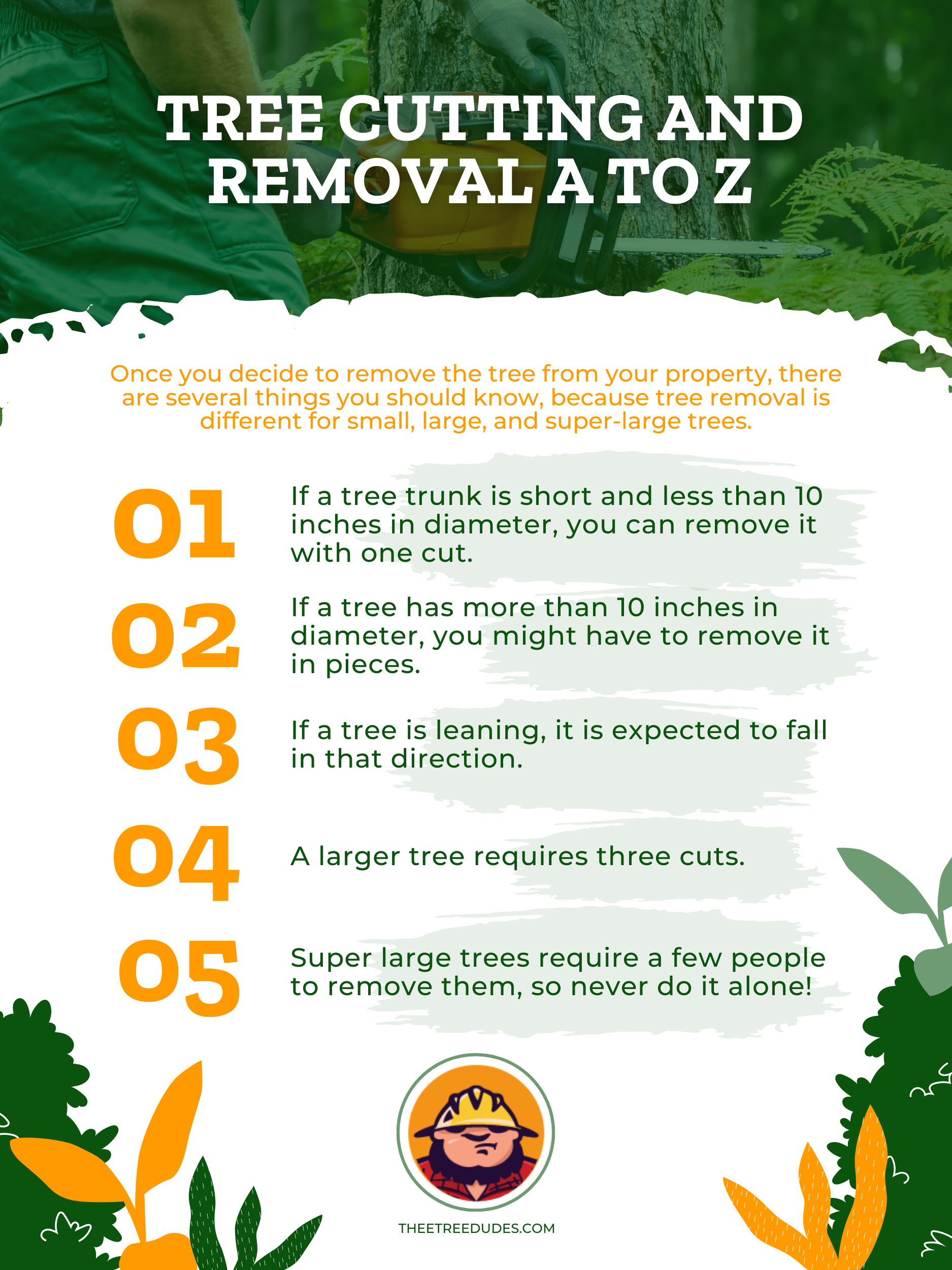 Tree Cutting and Removal A to Z Infographic 1
