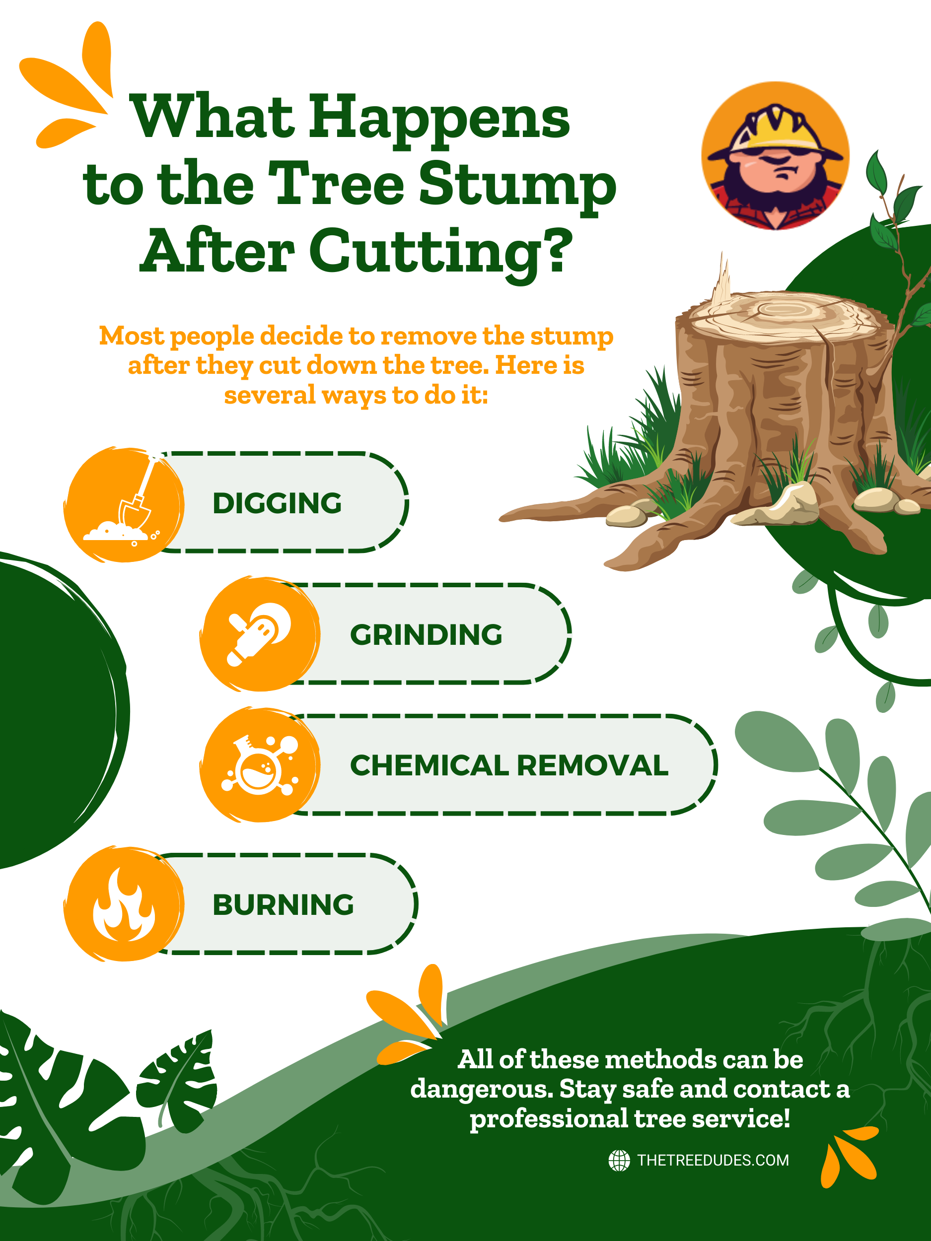 Tree Removal and Tree Cutting: What Happens to the Tree Stump After Cutting
