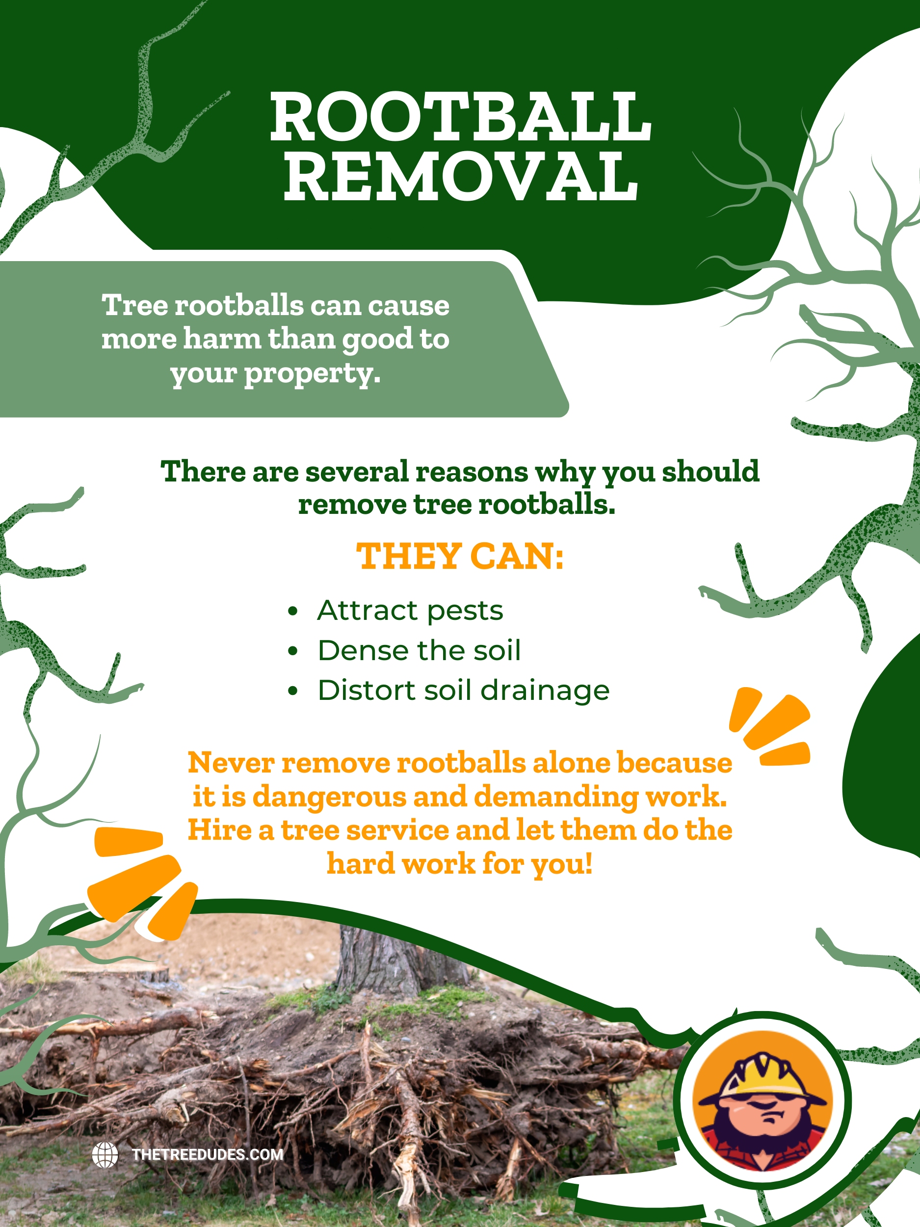 Rootball Removal Infographic