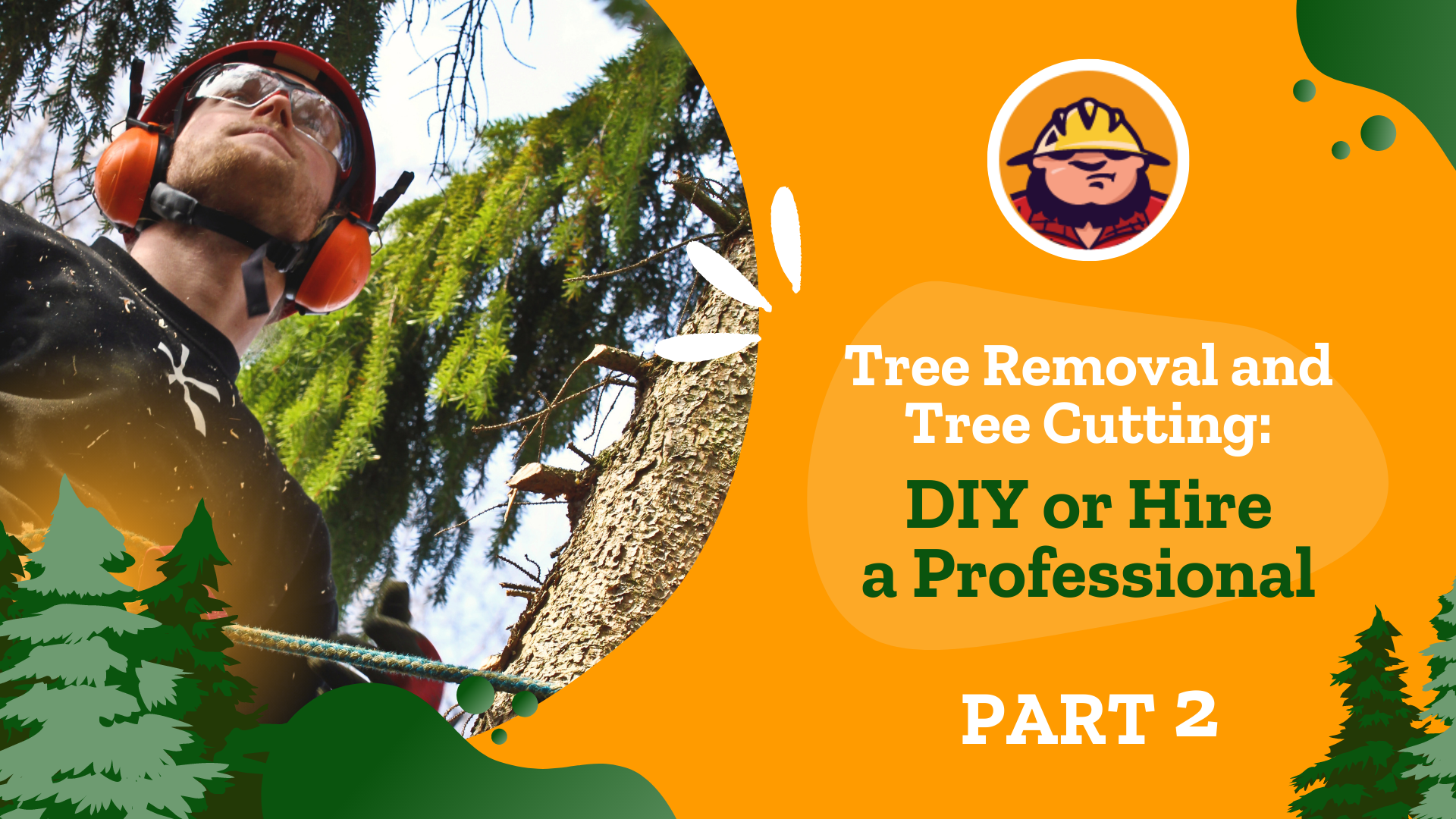 Part 2 - Tree Removal and Tree Cutting - DIY or Hire a Professional