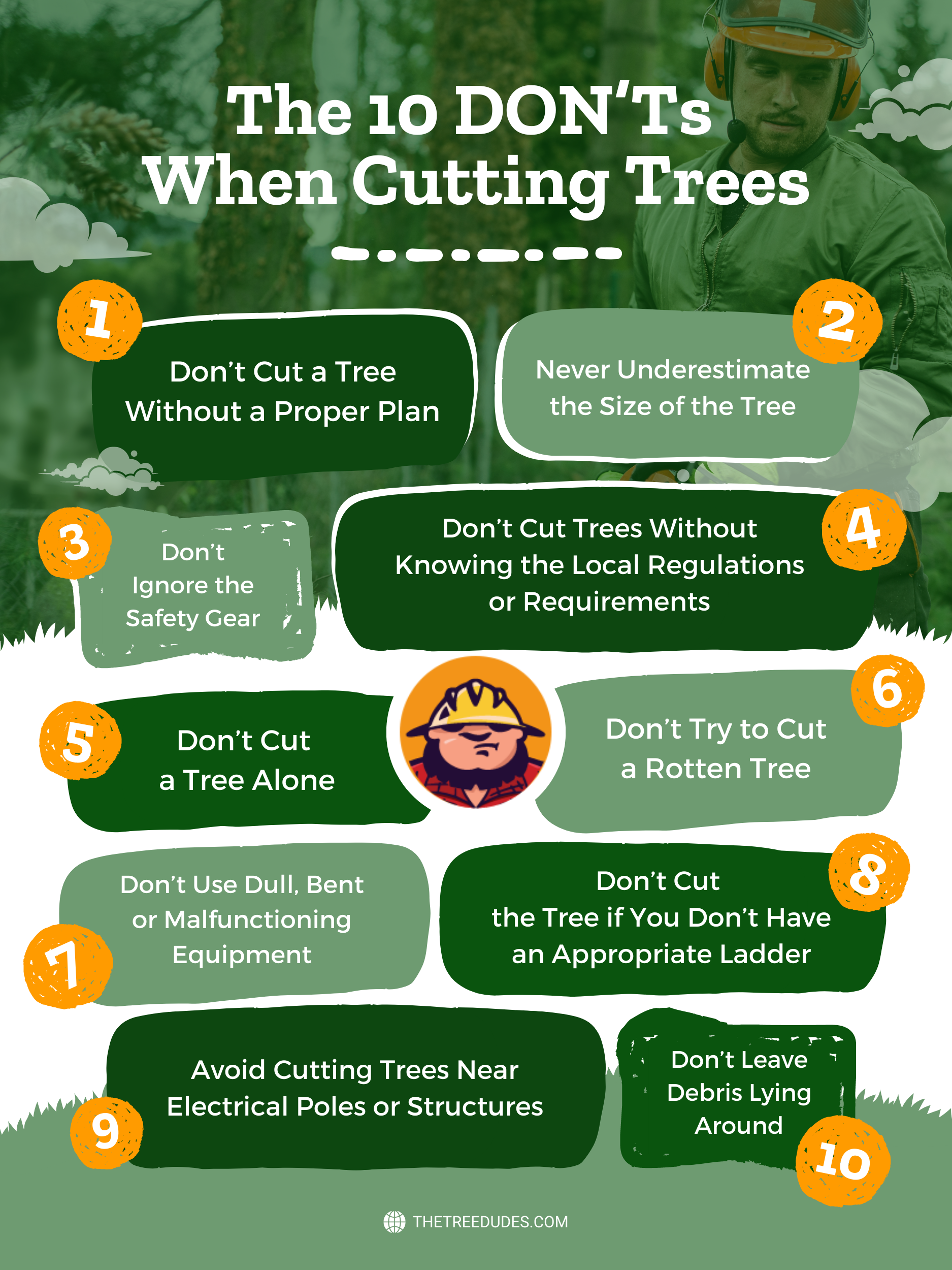Tree Removal and Tree Cutting: The 10 DON’Ts When Cutting Trees