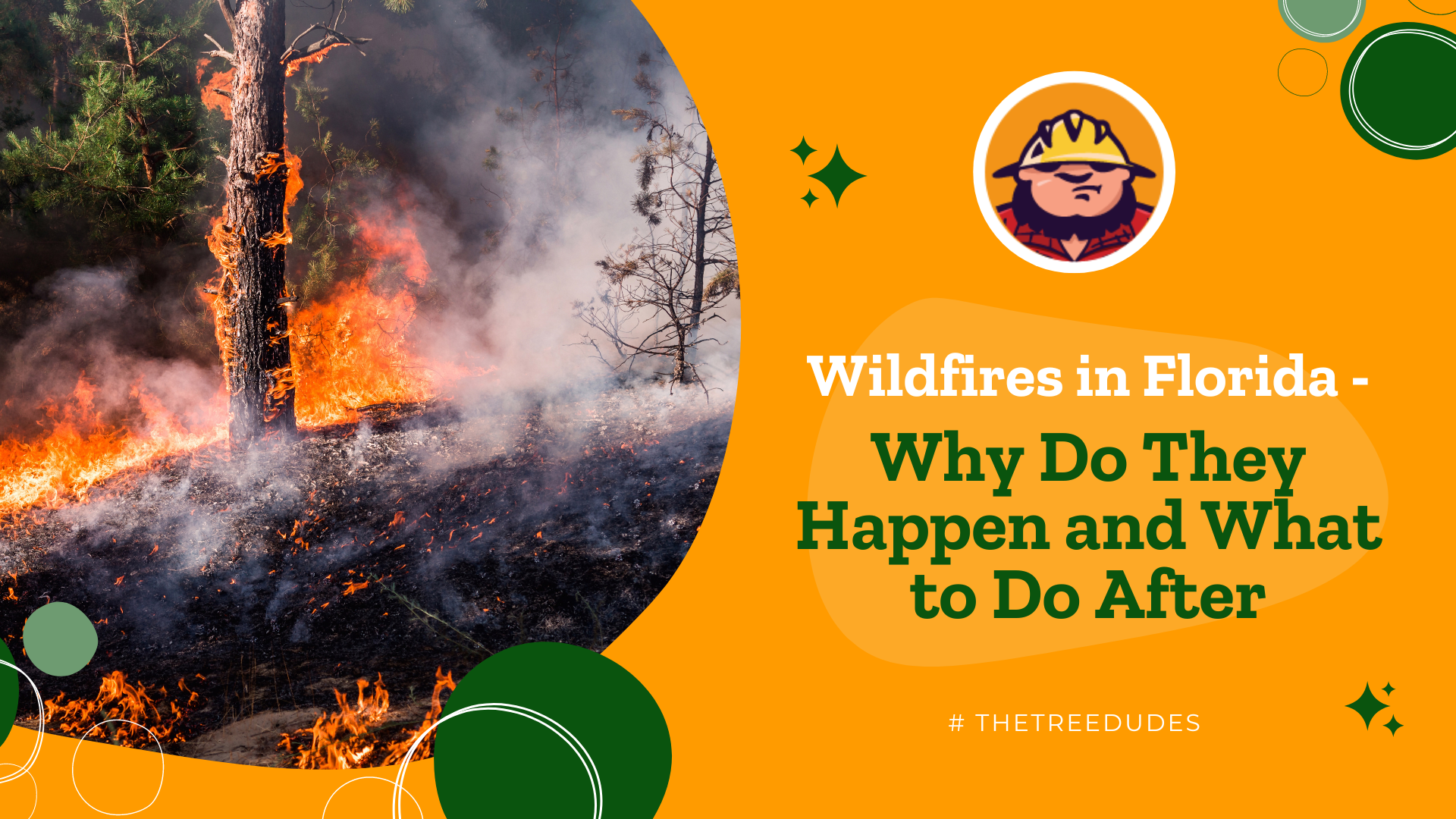 Wildfires in Florida - Why Do They Happen and What to Do After