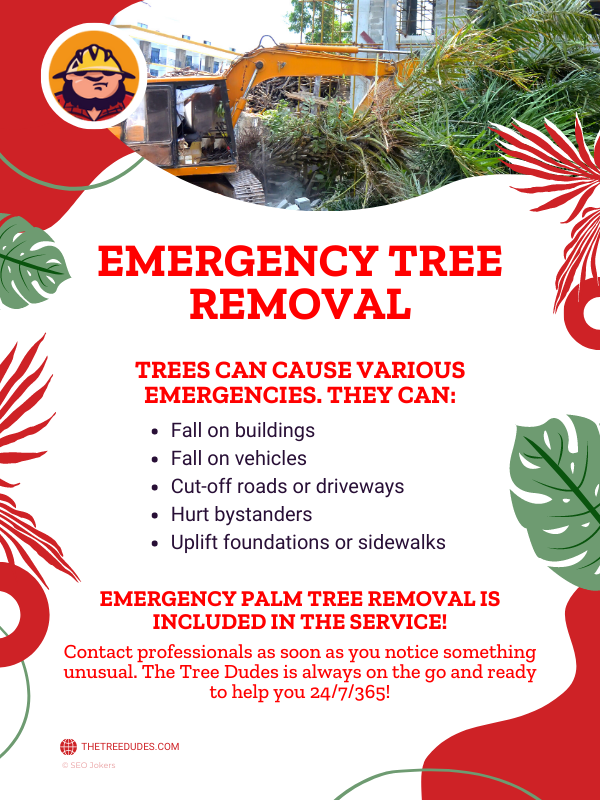 Emergency Tree Removal Infographic