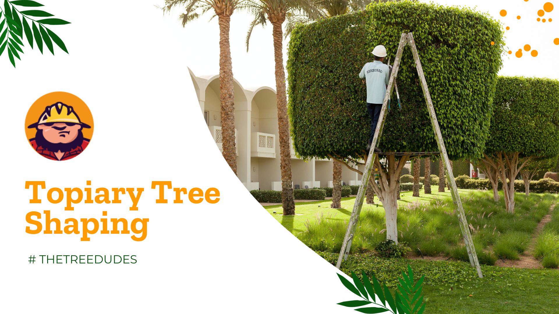 Topiary Tree Shaping