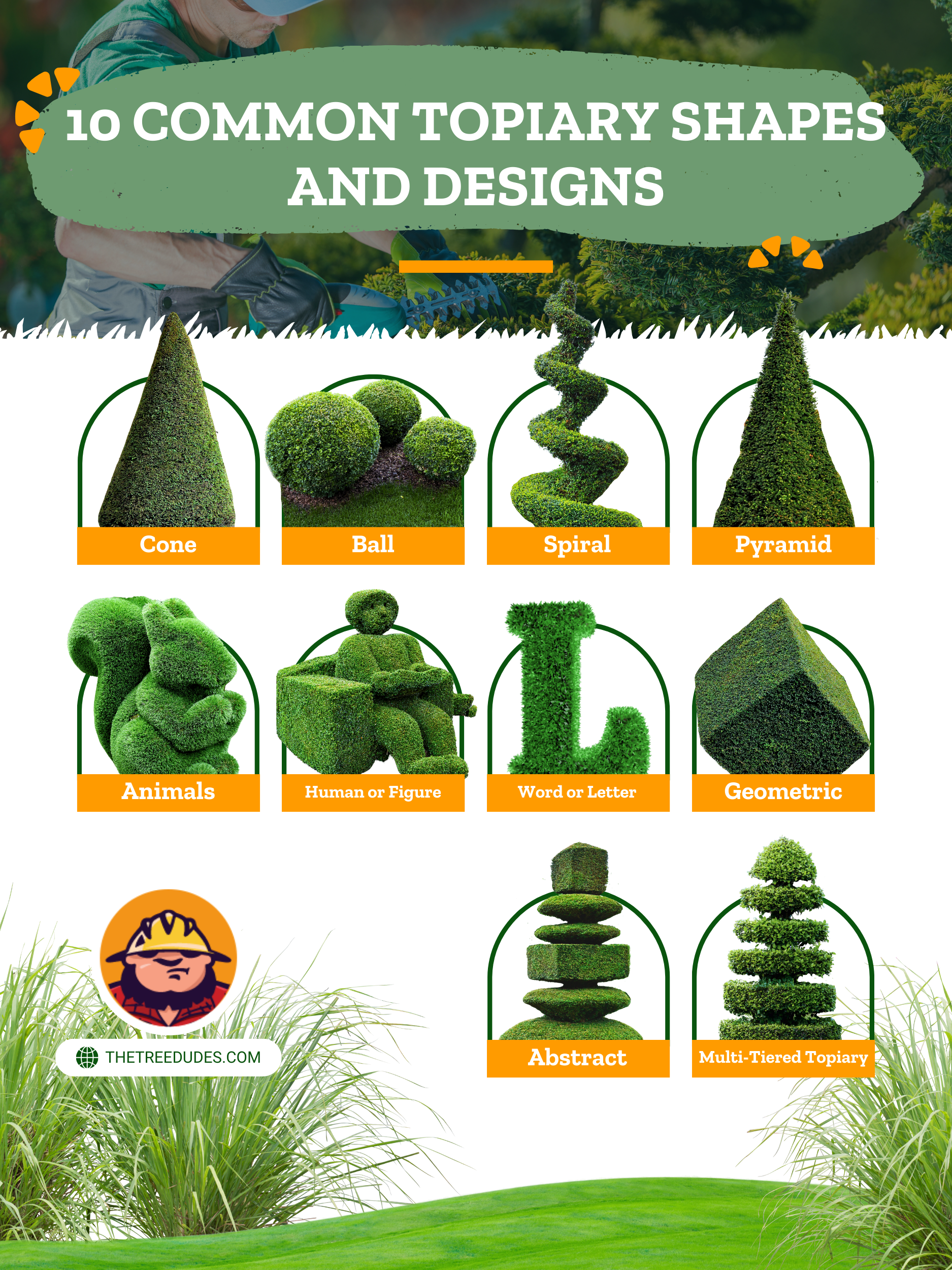 Topiary Tree Shaping - 10 Common Topiary Shapes and Designs