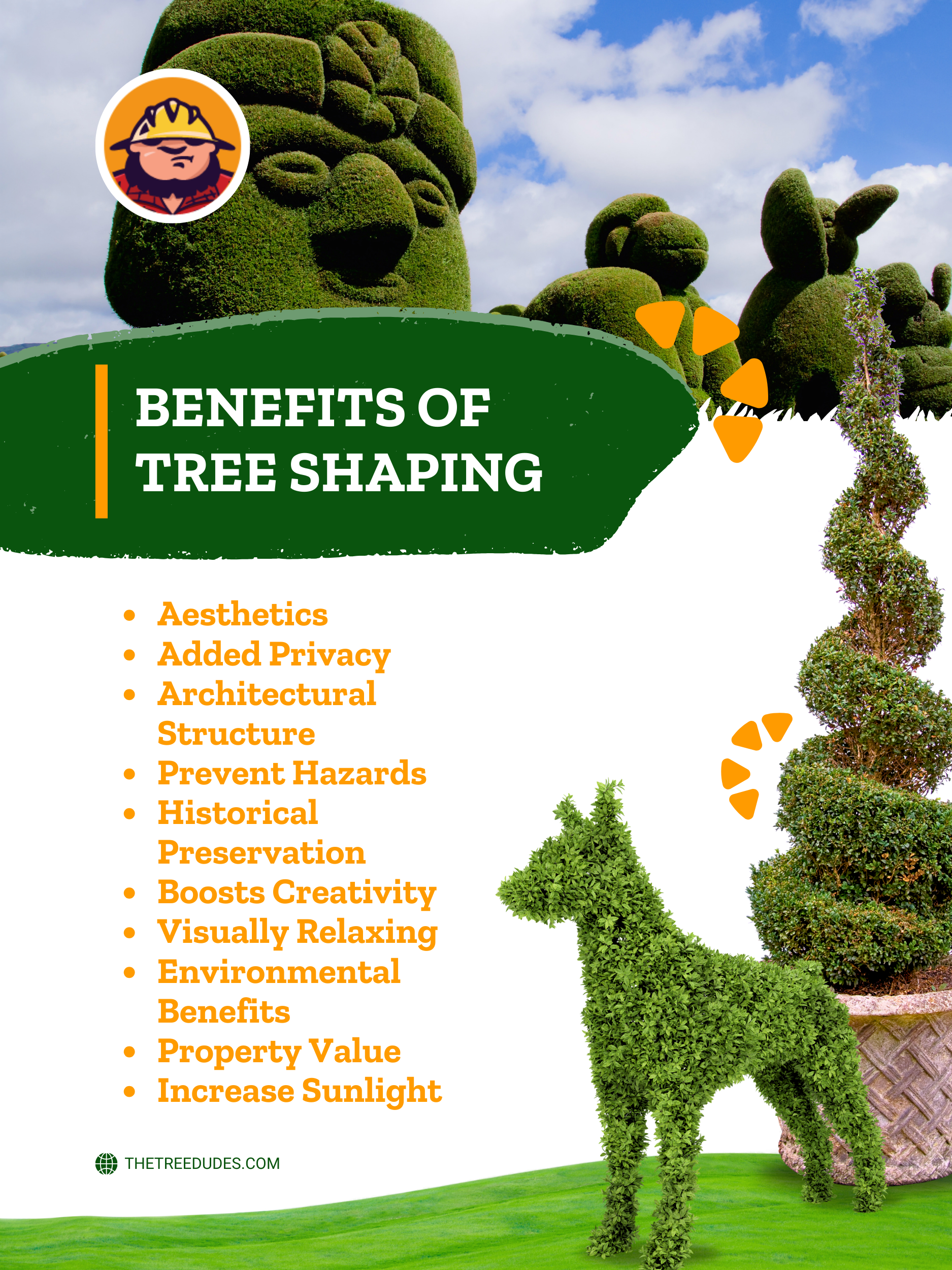 Topiary Tree Shaping - Benefits of Tree Shaping