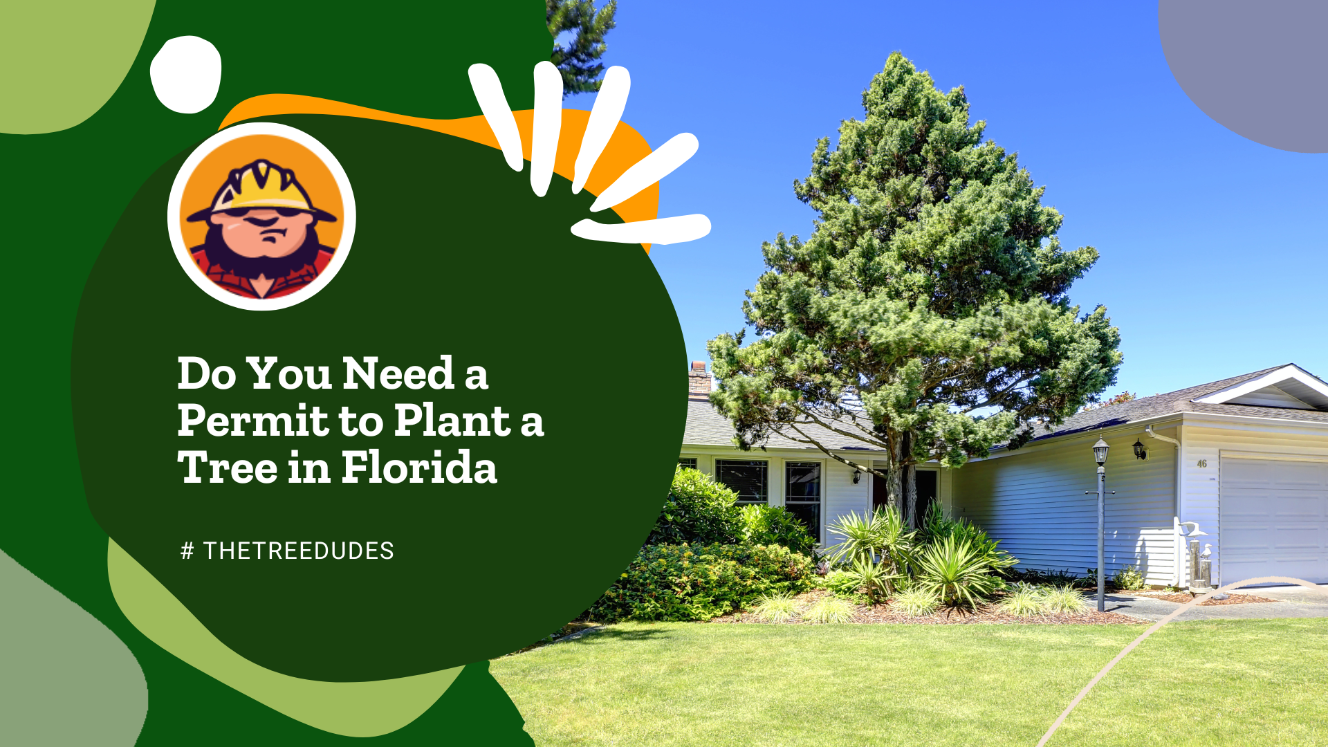 Do You Need a Permit to Plant a Tree in Florida