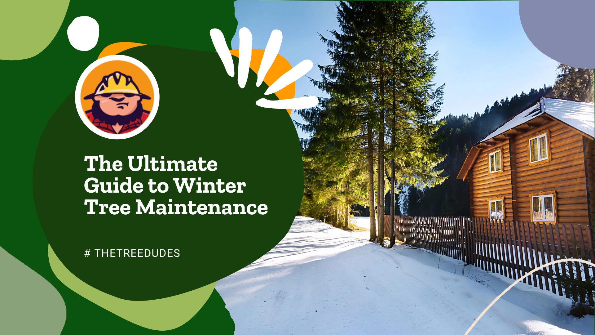 The Ultimate Guide to Winter Tree Maintenance