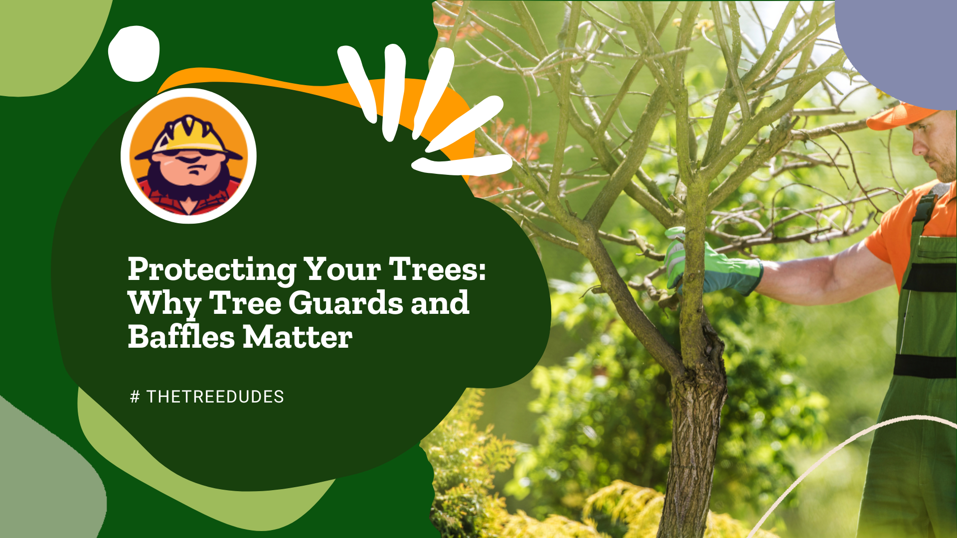 Protecting Your Trees Why Tree Guards and Baffles Matter
