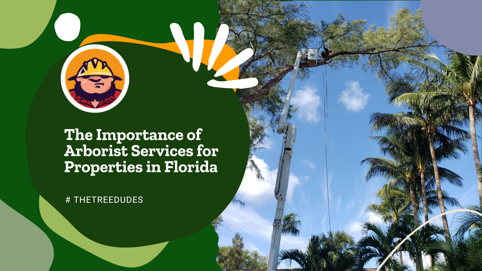 The Importance of Arborist Services for Properties in Florida