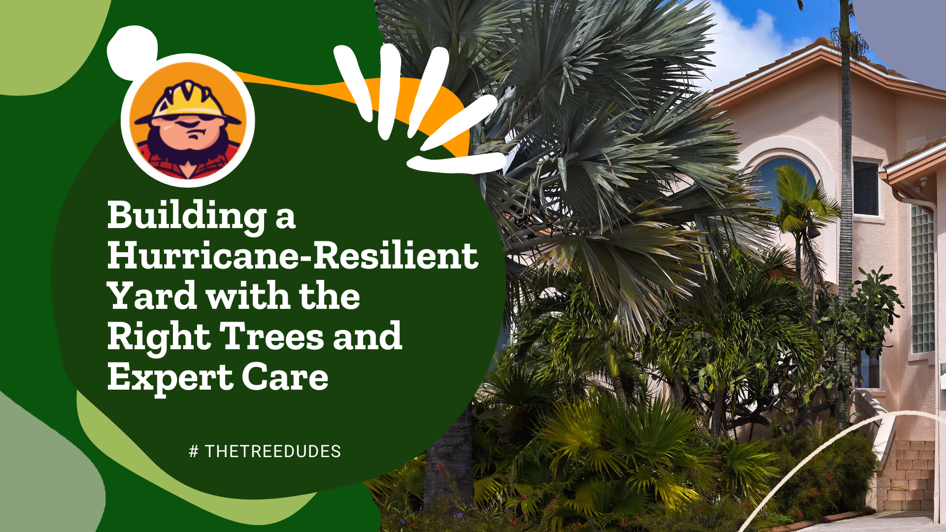 Building a Hurricane-Resilient Yard with the Right Trees and Expert Care