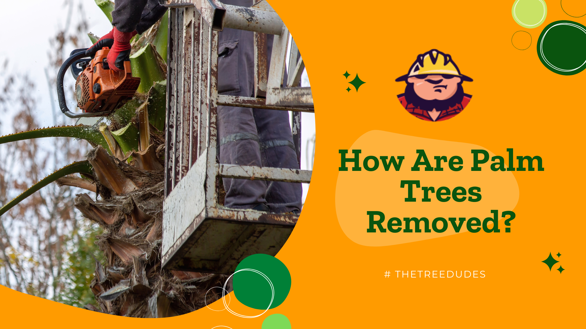 How Are Palm Trees Removed?