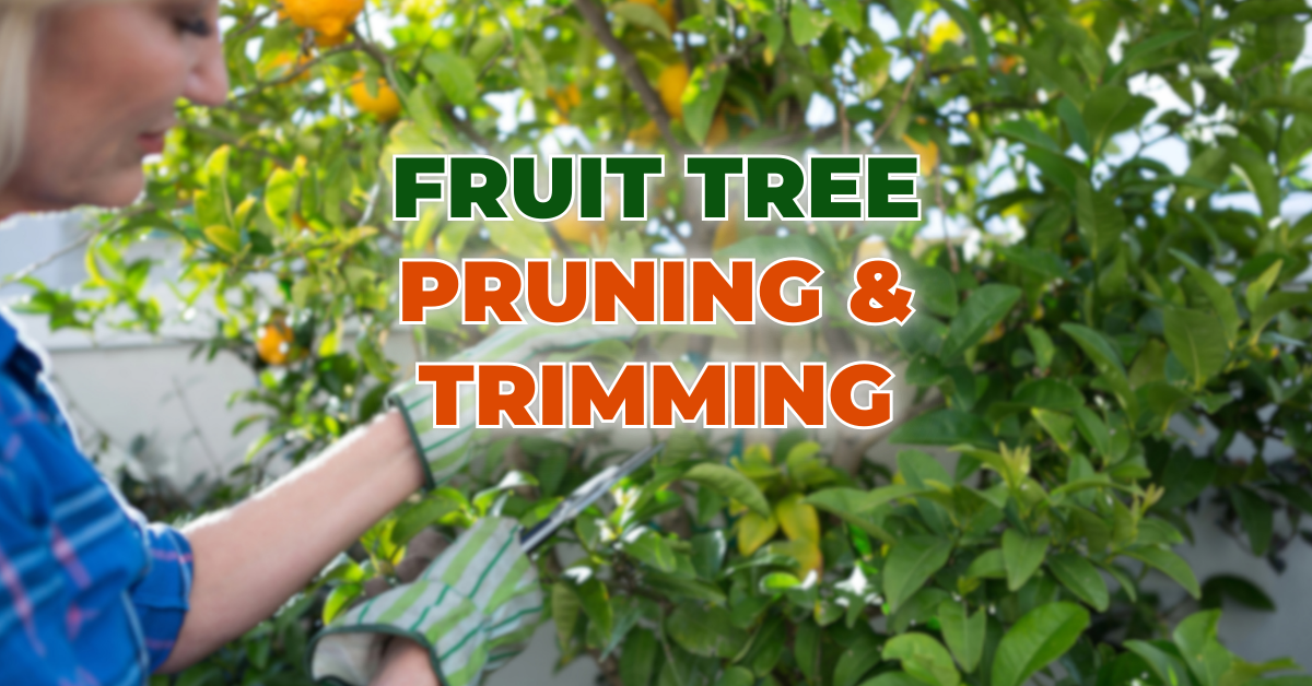 Fruit Tree Pruning & Trimming