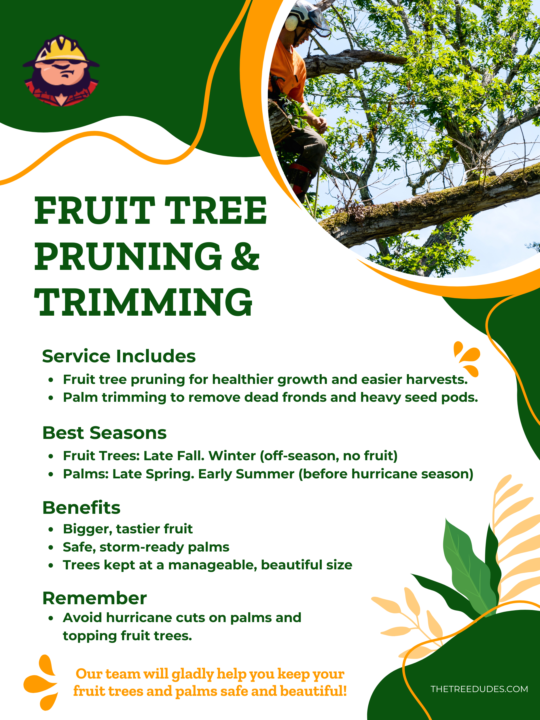 Fruit Tree Pruning and Trimming