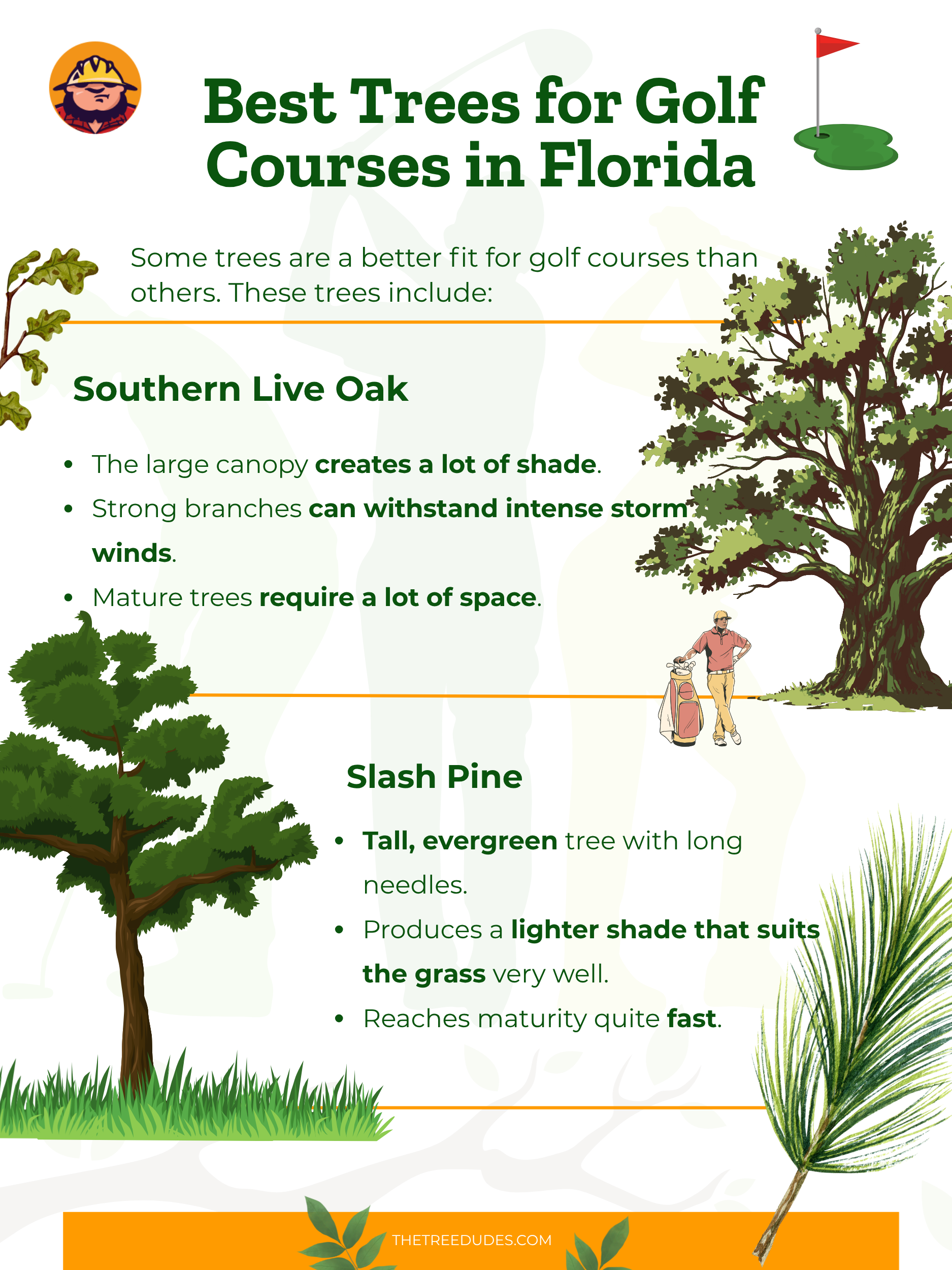 Best Trees for Golf Courses in Florida - 1