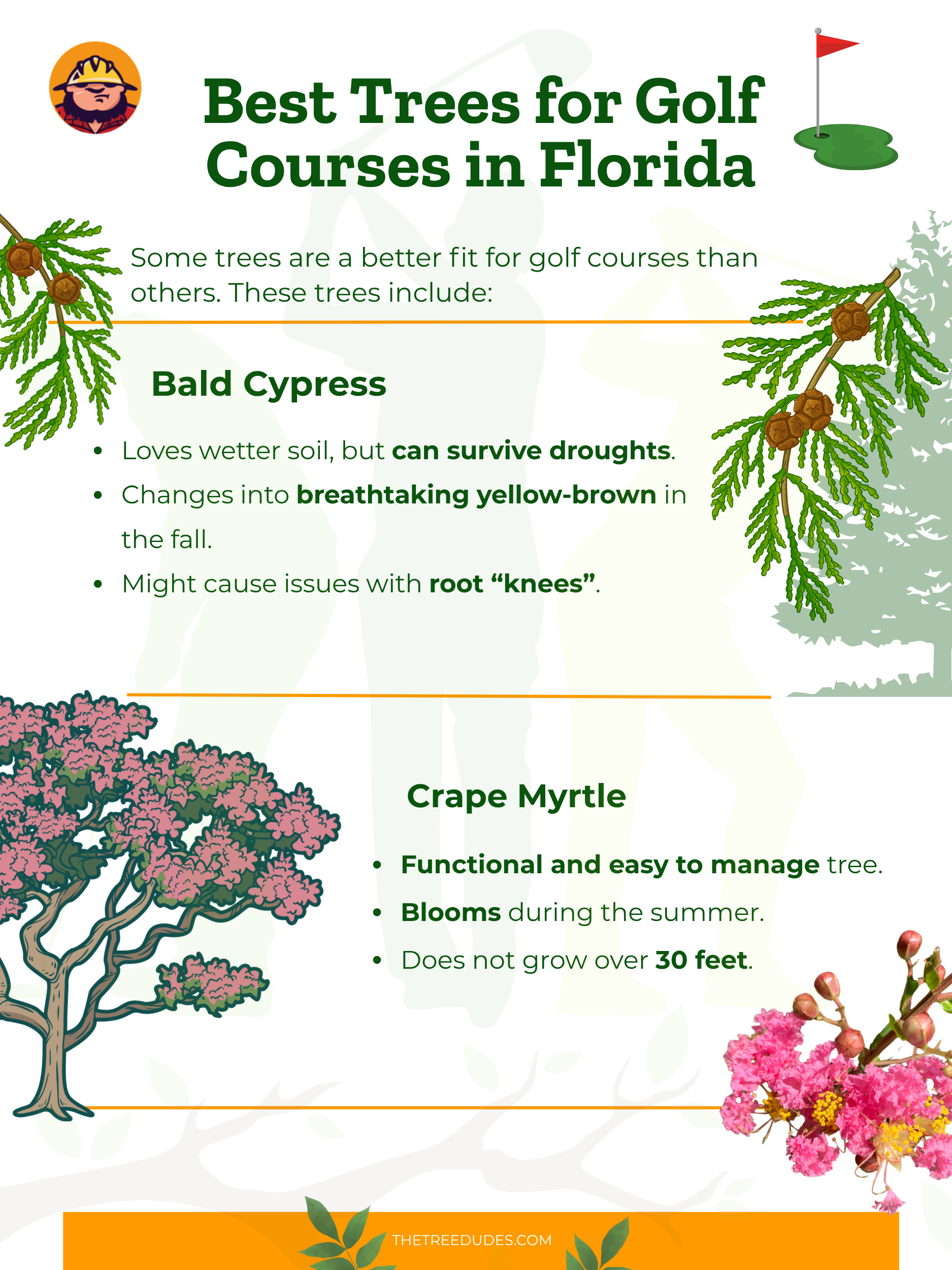 Best Trees for Golf Courses in Florida - 2