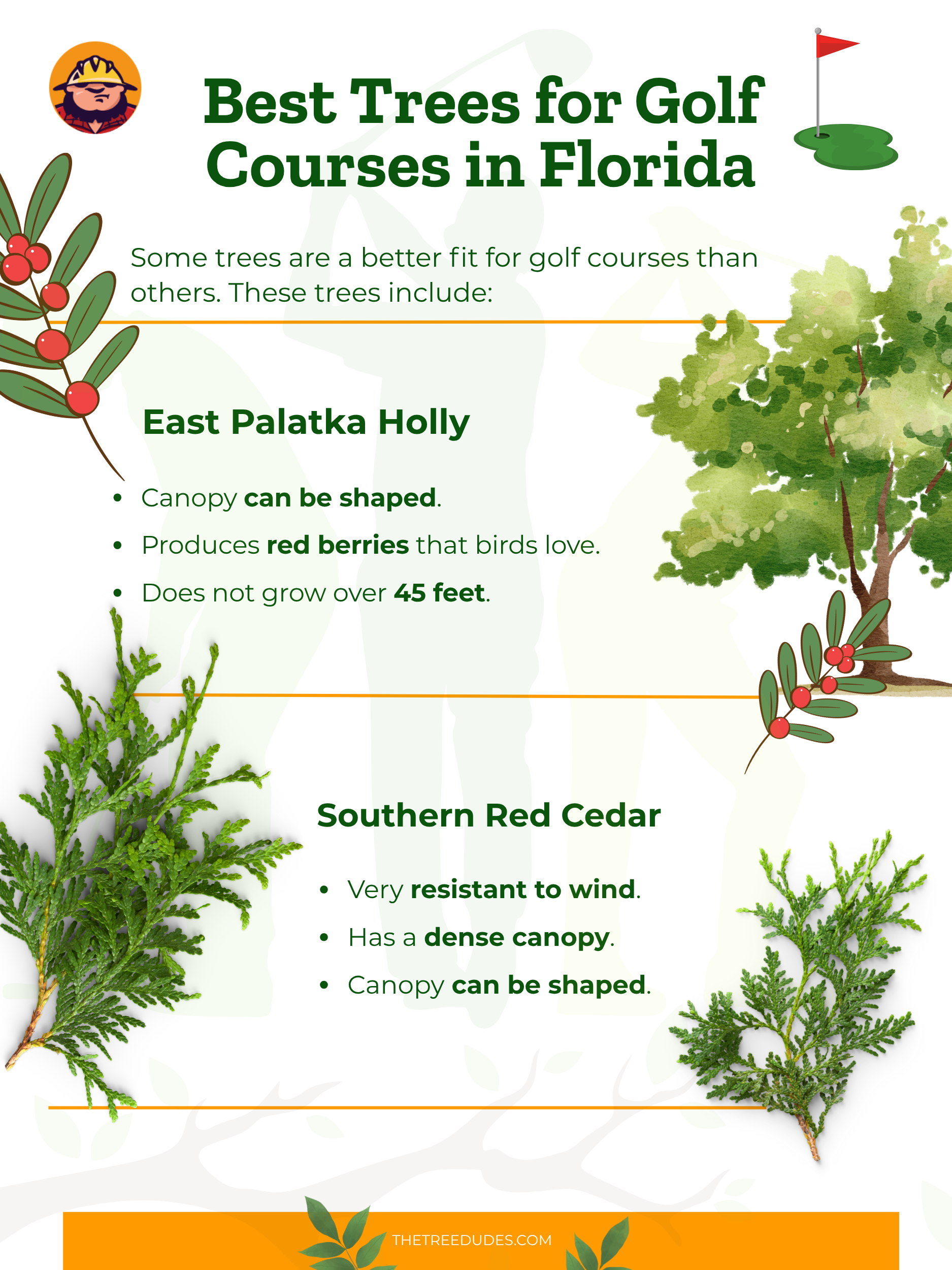 Best Trees for Golf Courses in Florida - 3