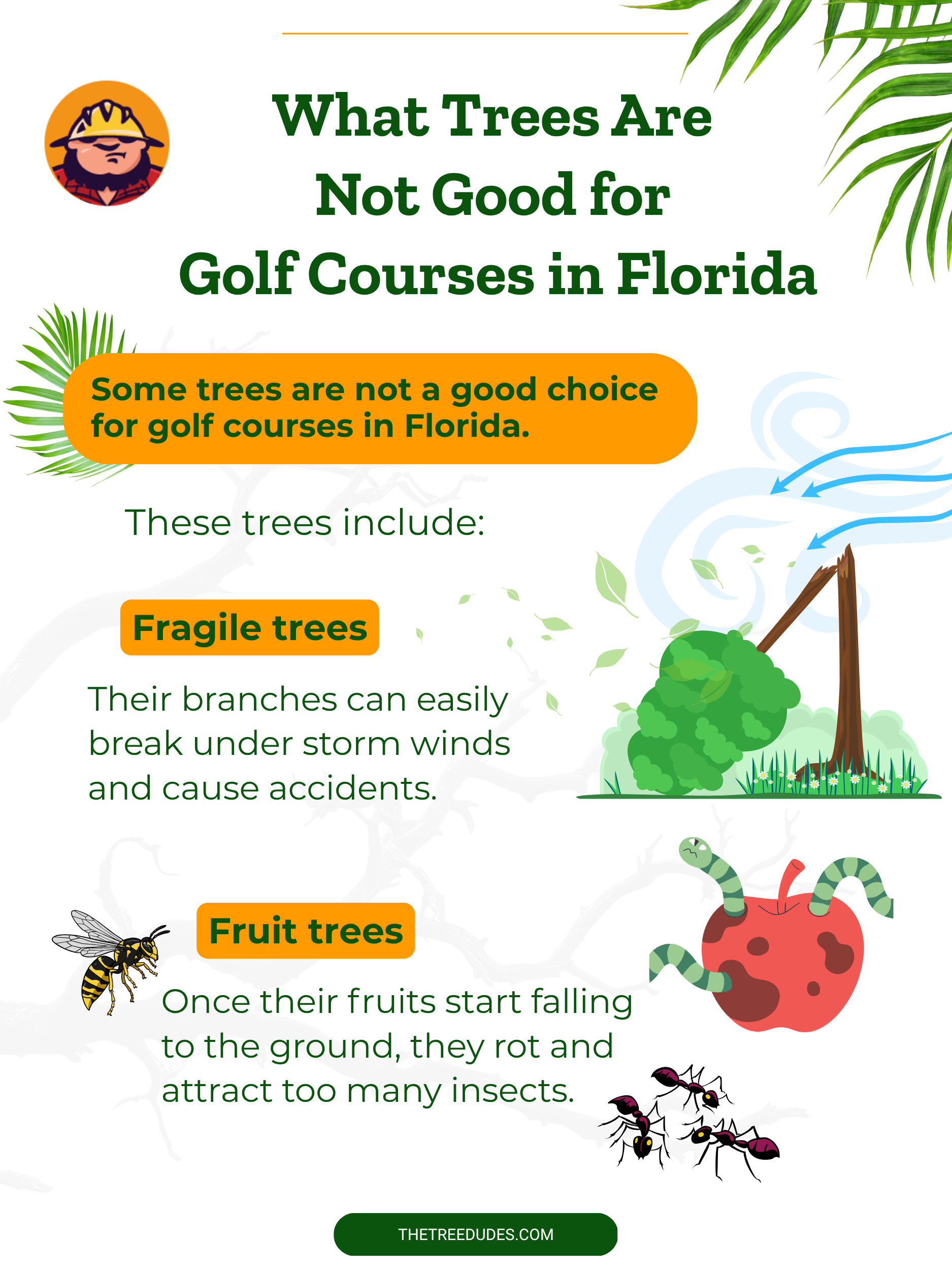 What Trees Are Not Good for Golf Courses in Florida - 1