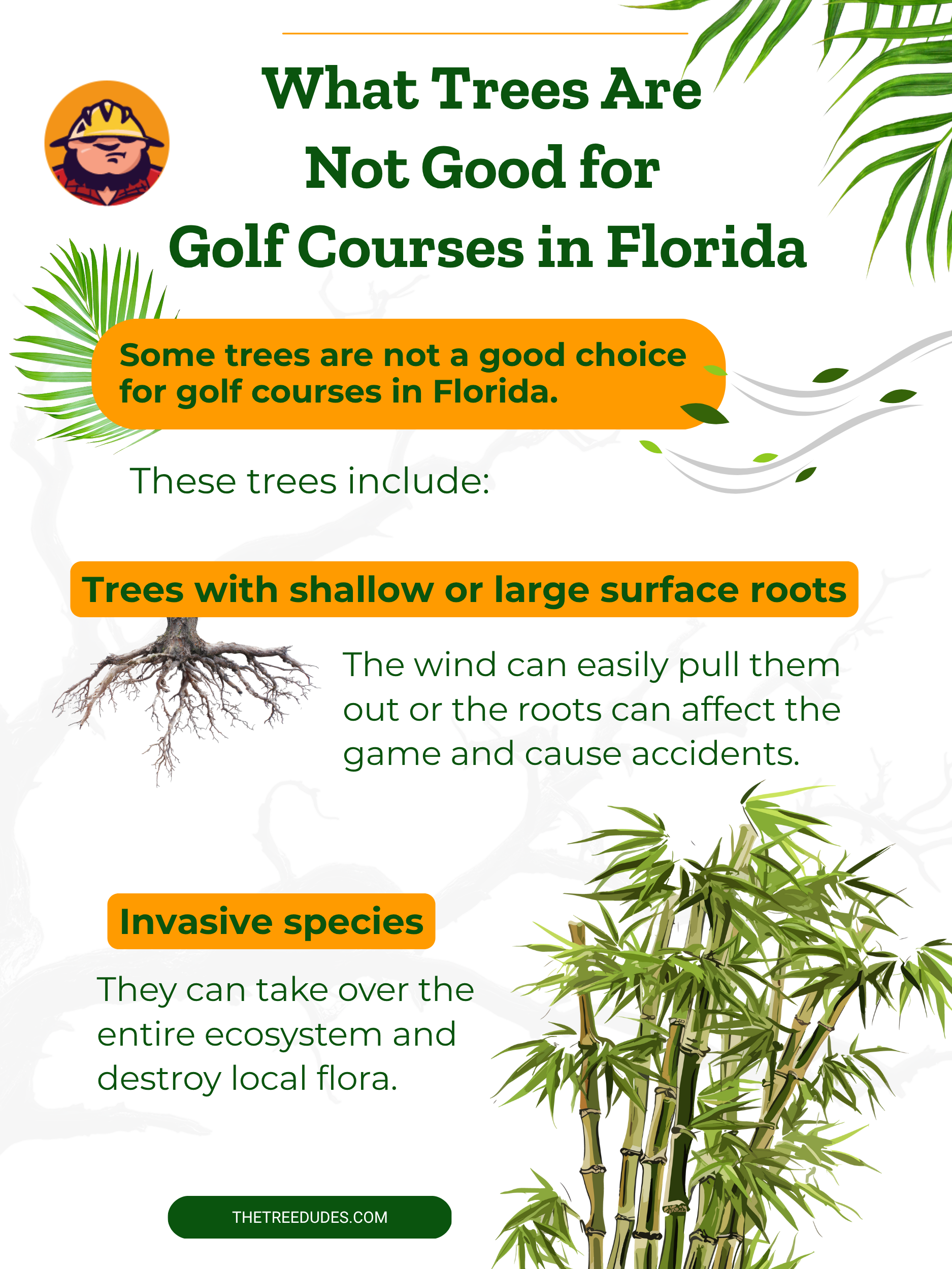 What Trees Are Not Good for Golf Courses in Florida - 2