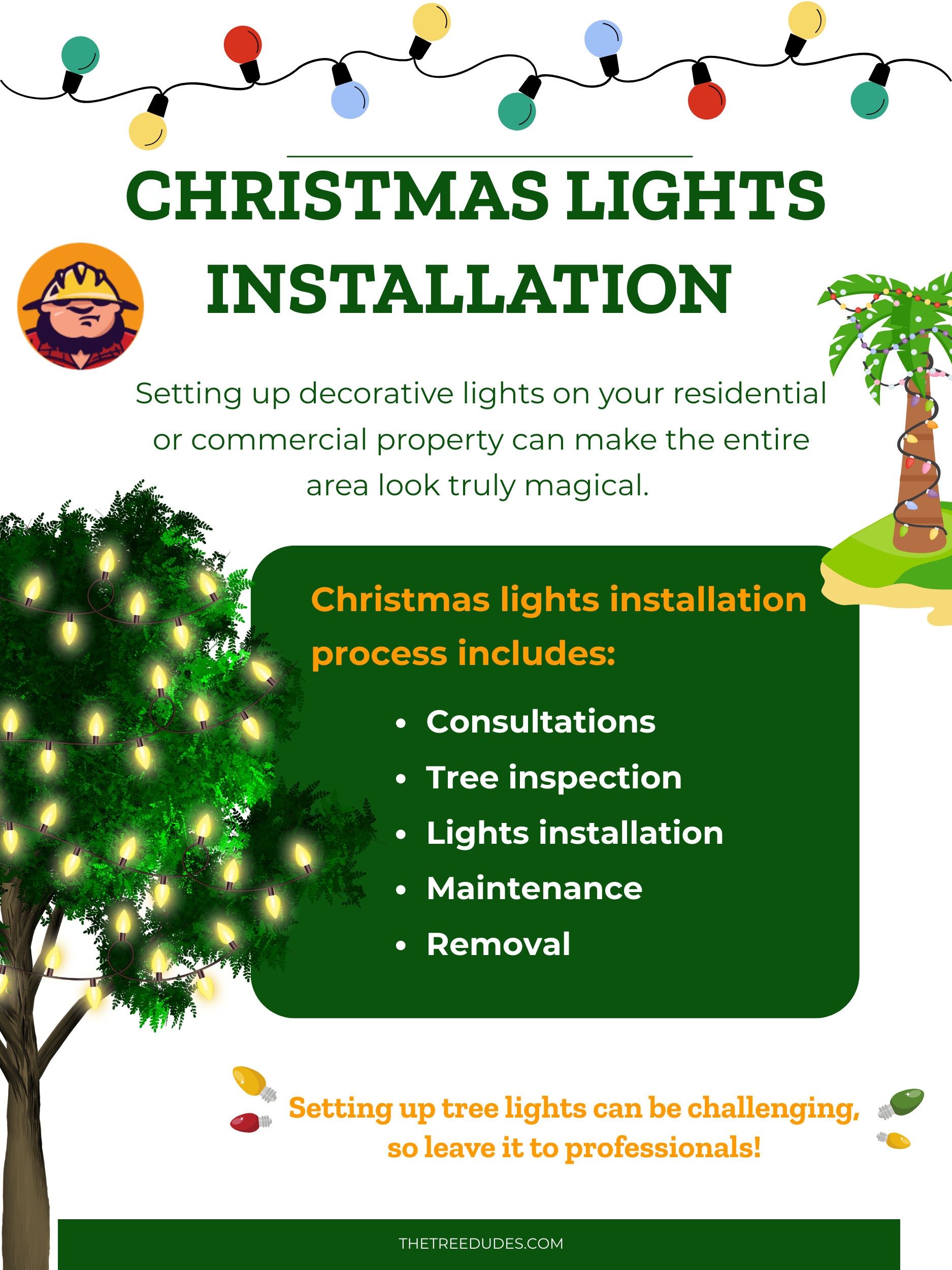 Christmas Lights Installation