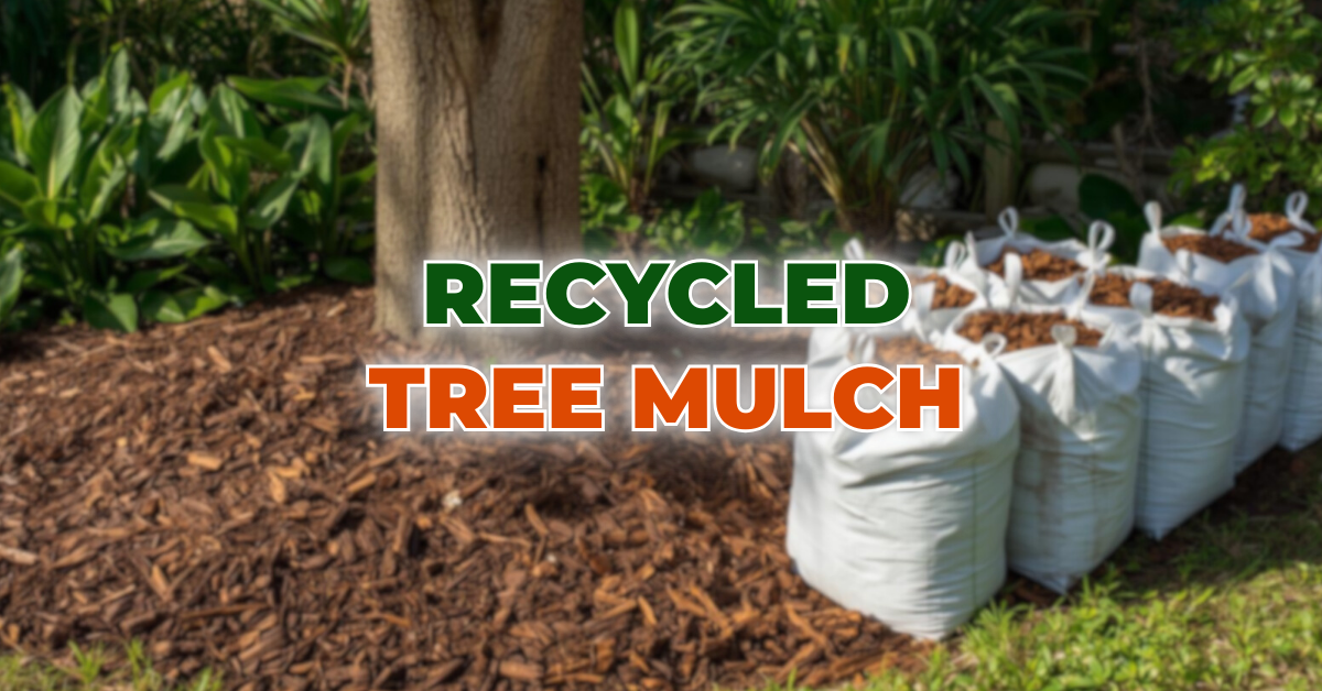 Recycled Tree Mulch