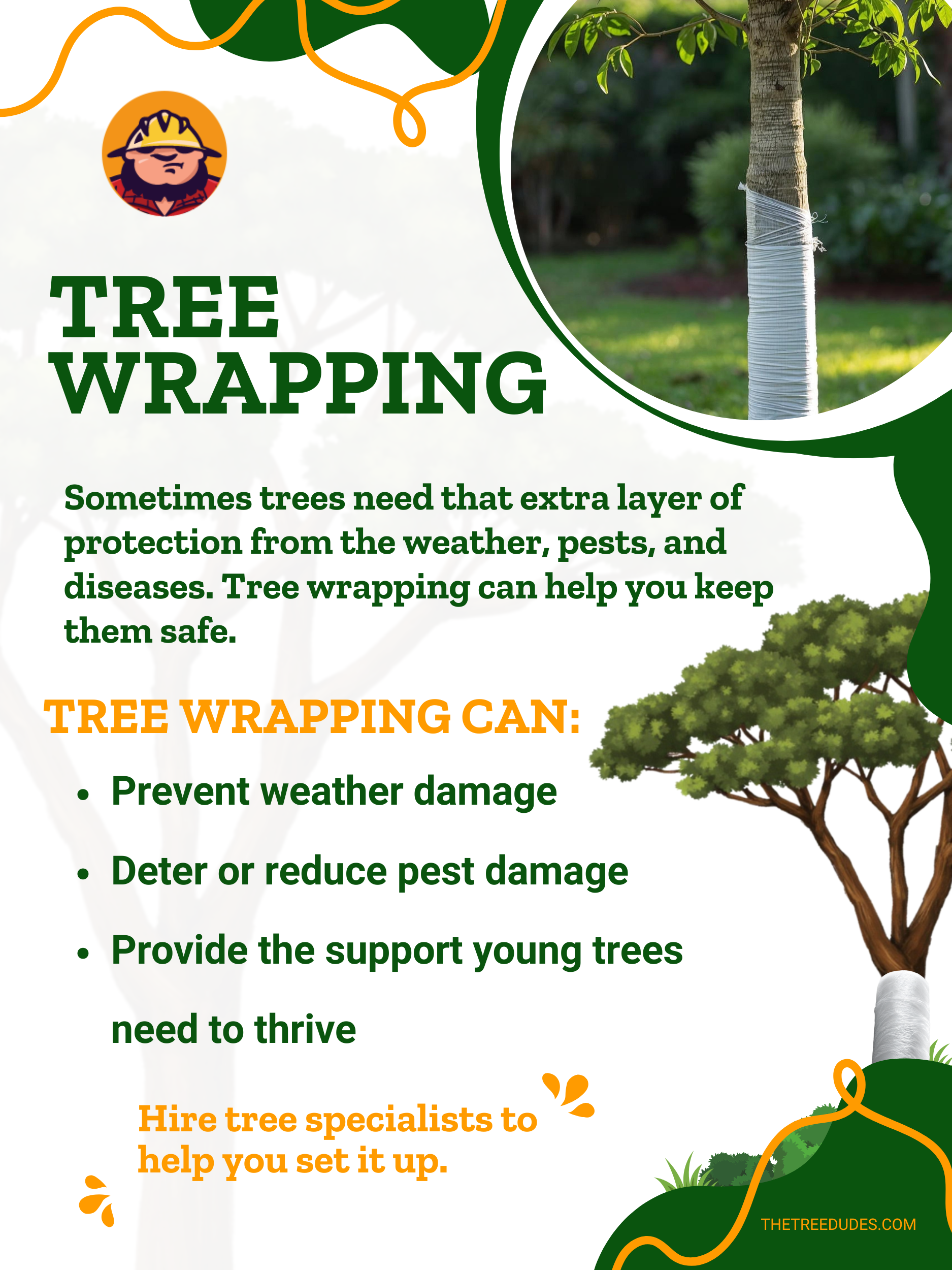 Tree Wrapping